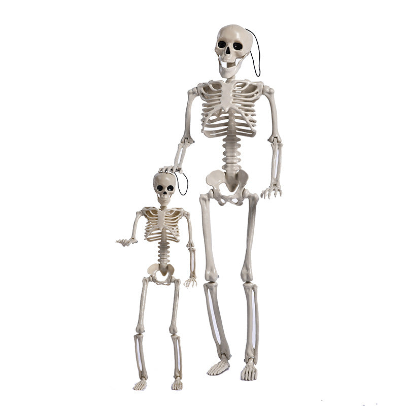Halloween Plastic Skull Skeleton Model Scene Arrangement