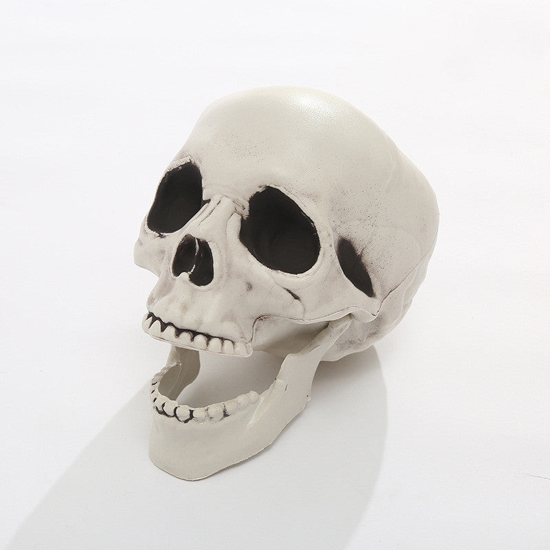 Halloween Simulation Human Plastic Skull Skeleton