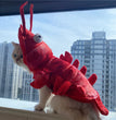 Halloween Cat Lobster Clothes New Year Christmas