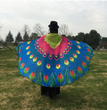 Peacock Feather Halloween Cape Chiffon Peacock Cape