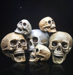 Skull Decor Prop Skeleton Head Plastic  Model Halloween