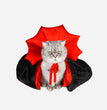 Pet Halloween Cat Clothes Factory Performance