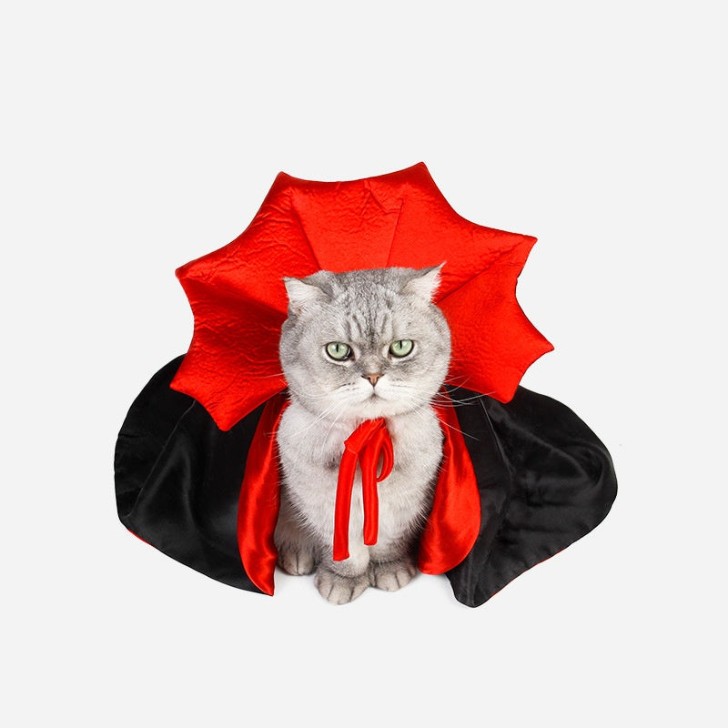 Pet Halloween Cat Clothes Factory Performance