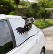 Halloween Car Window Curtain Sunshade Cover Pet Seat