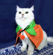 Halloween Pumpkin Double Sided Cape Dog Party