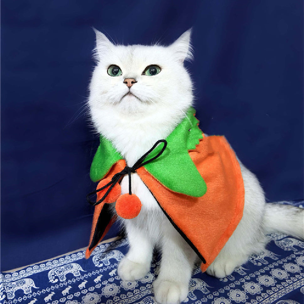 Halloween Pumpkin Double Sided Cape Dog Party