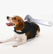 Halloween funny pet clothes