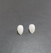 Halloween Vampire Zombie Dentures