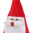 Christmas hat