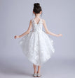 Children's princess dress lace trailing costumes