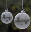 Transparent christmas ball
