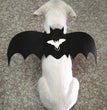 Halloween Bat wings for dog and cat