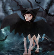Halloween pet bat wings