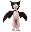 Halloween pet bat wings