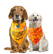 Halloween pet saliva towel