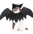 Halloween pet bat wings