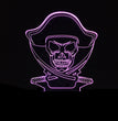 3D LED Color Night Light Changing Lamp Halloween Skull  Light Acrylic 3D Hologram Illusion Desk Lamp For Kids Gift Dropship