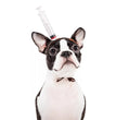 Pet Dog Cats Headdresses Halloween Pet Cat Headgear