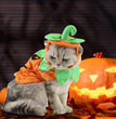Halloween Pet Cats Costume Props Creative Pumpkin Shape Green Leaf Decoration Cosplay Clothing Holiday Garment Supplies