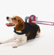 Halloween funny pet clothes