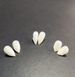 Halloween Vampire Zombie Dentures
