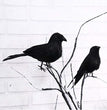 Halloween garden gardening decoration
