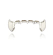 Halloween Vampire Zombie Dentures