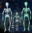 Luminous Skeleton Halloween Skeleton Event Props