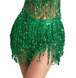 Halloween Belly Dance Costume Sequined Tassel Hip Skirt Waist Scarf
