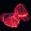 Luminous Baseball Cap Halloween Outdoor Fiber Optic Luminous Cap LED Luminous Cap