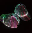 Luminous Baseball Cap Halloween Outdoor Fiber Optic Luminous Cap LED Luminous Cap
