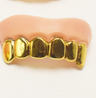 Halloween Dress Up Props Electroplating Gold And Silver Dentures Simulation Zombie Dentures Whole Toy