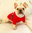 Pet christmas sweater