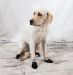 Halloween Pet Socks Dog Foot Cover Box