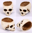 Halloween Home Skull Ashtray Flower Pot