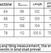 French Elastic Drawstring Fashion All-match Parachute Jogging Casual Trousers