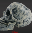 Halloween skeleton skeleton Simulation human body plastic decoration ghost house secret room props