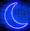 LED Blue Moon Neon Light, Cute Neon Moon Sign,Christmas Room Decor Battery or USB Powered 5V Art LED Decorative Lights Night Lights Indoor for Home, Bedroom, Office,Dorm,Party (Blue Moon)