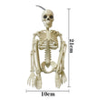 Halloween Plastic Skull Ghost Skeleton Decoration Props