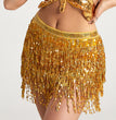 Halloween Belly Dance Costume Sequined Tassel Hip Skirt Waist Scarf