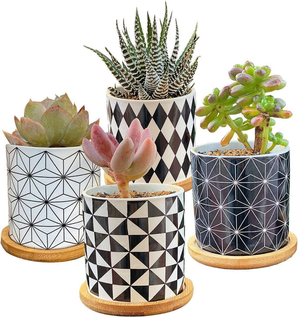 Geometric Ceramic Succulent Pots, Set of 4