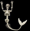 Halloween Skull Fish-skeleton Hanger Fixed Posture Simulation Chamber Props