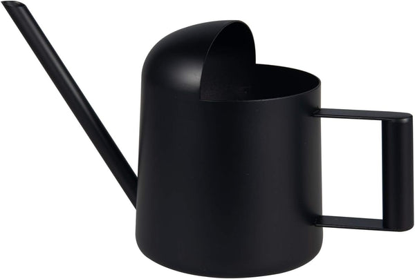 Mini Stainless Steel Watering Can, 11 oz