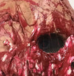 Horror natural latex Halloween mask