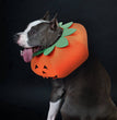 Pet Halloween Pumpkin Collars Cute Pet Cosplay Accessories