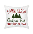 Christmas pillow cushion cover