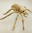 Halloween horror decorations