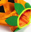 Halloween Pumpkin Makeover
