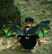 Dinosaur Wings Electric Butterfly Wings Children Luminous
