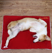 Christmas Pet Mat Super Soft Dog Mat For Christmas